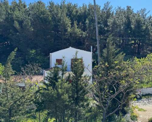 φωτογραφία ακινήτου