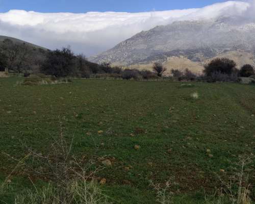 εικόνα ακινήτου