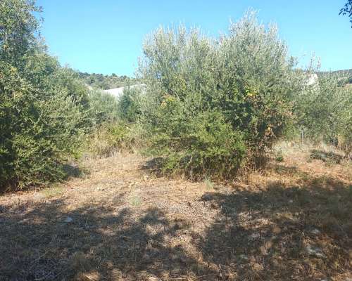 φωτογραφία ακινήτου