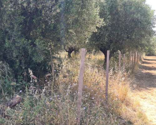 φωτογραφία ακινήτου