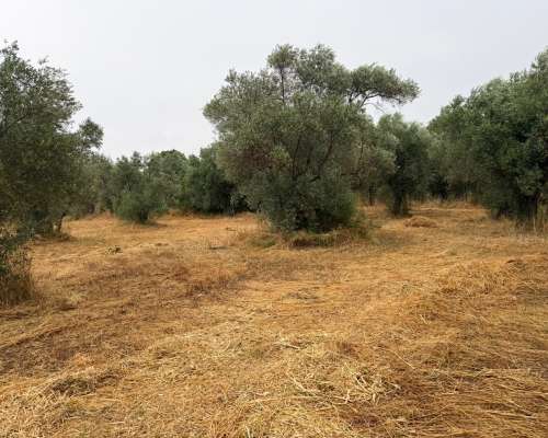 εικόνα ακινήτου