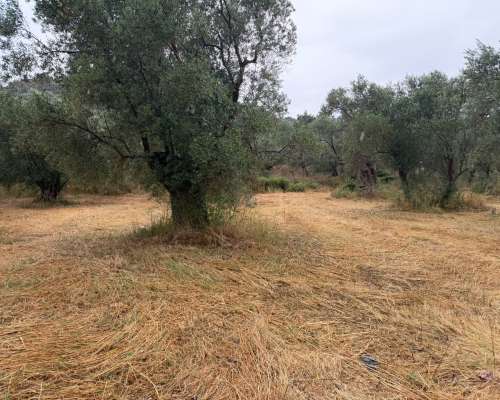 φωτογραφία ακινήτου