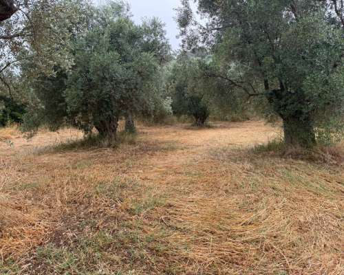 φωτογραφία ακινήτου
