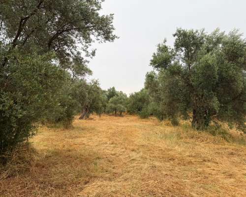 φωτογραφία ακινήτου