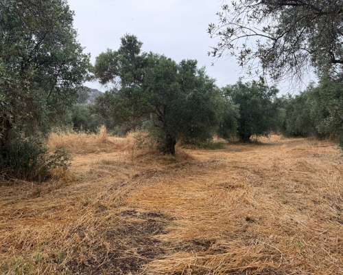 φωτογραφία ακινήτου