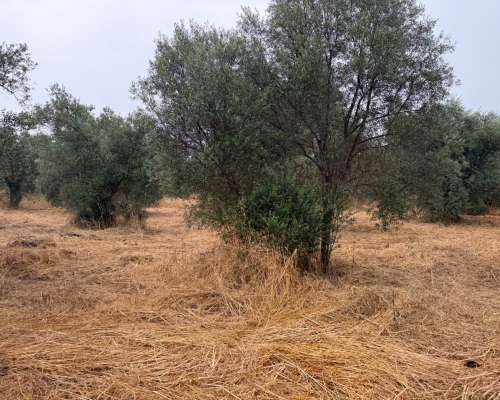 φωτογραφία ακινήτου