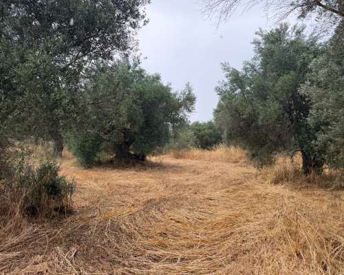 φωτογραφία ακινήτου
