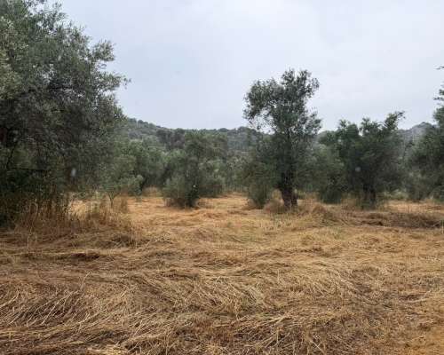 φωτογραφία ακινήτου