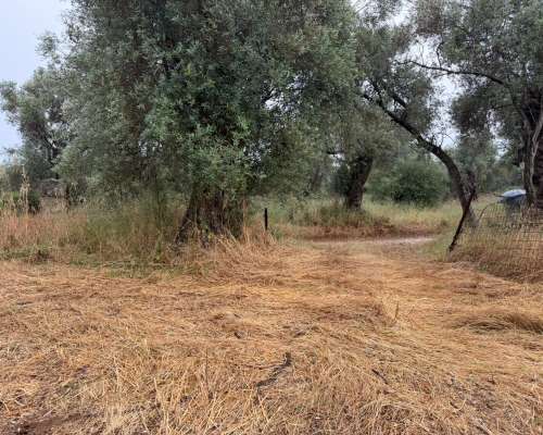 φωτογραφία ακινήτου