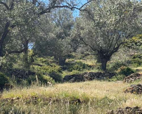 φωτογραφία ακινήτου