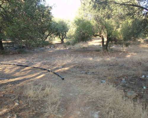 εικόνα ακινήτου