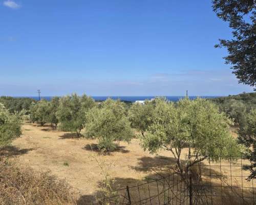 εικόνα ακινήτου