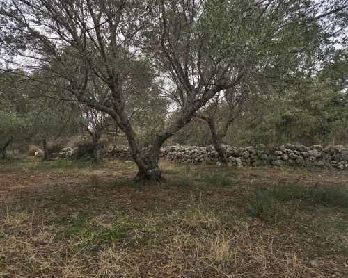 φωτογραφία ακινήτου