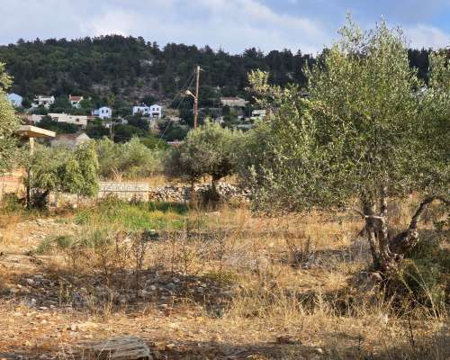 φωτογραφία ακινήτου