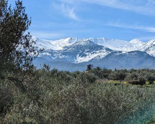 φωτογραφία ακινήτου