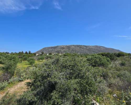 φωτογραφία ακινήτου