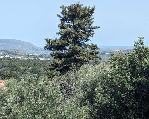 φωτογραφία ακινήτου