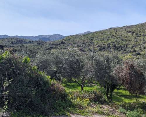 φωτογραφία ακινήτου
