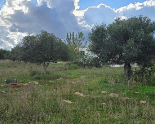 εικόνα ακινήτου
