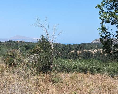 φωτογραφία ακινήτου