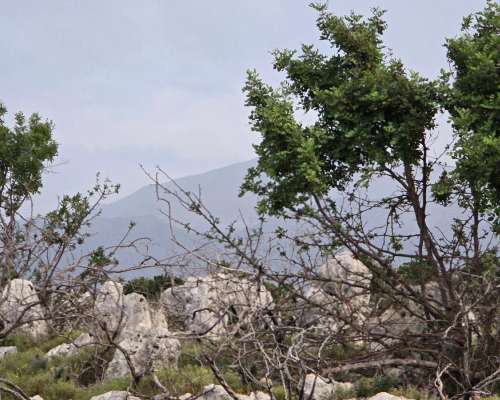 εικόνα ακινήτου