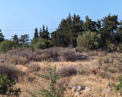 εικόνα ακινήτου