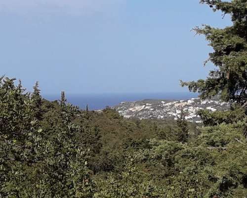 φωτογραφία ακινήτου