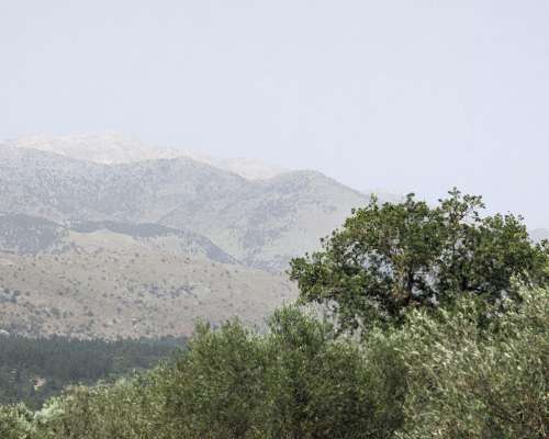 εικόνα ακινήτου