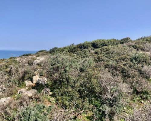 φωτογραφία ακινήτου