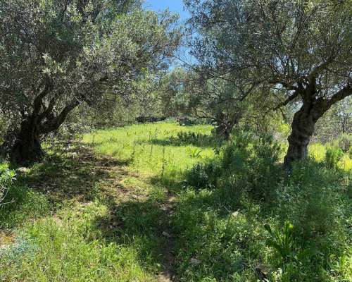 εικόνα ακινήτου