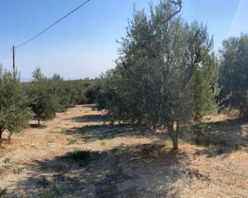 εικόνα ακινήτου