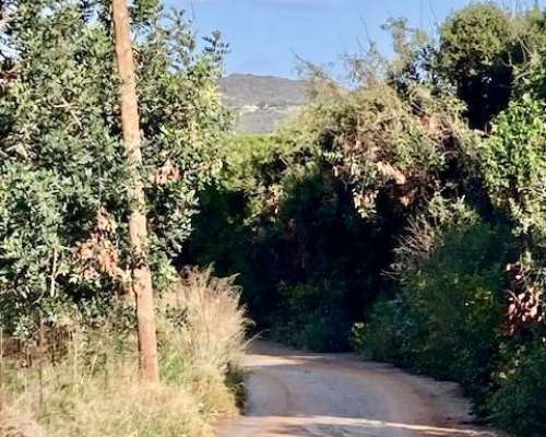 φωτογραφία ακινήτου