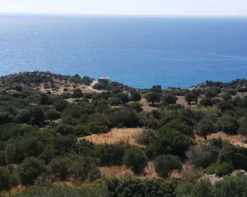 φωτογραφία ακινήτου