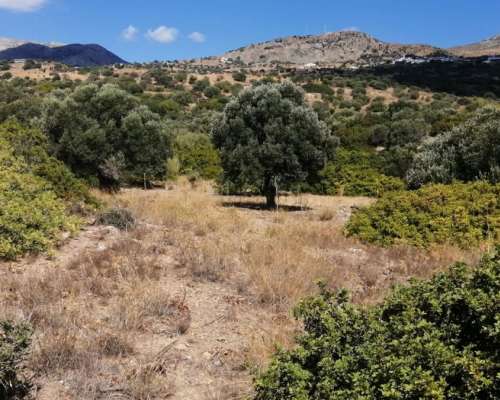 φωτογραφία ακινήτου