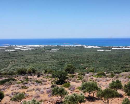 φωτογραφία ακινήτου