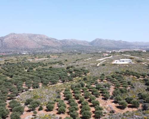 φωτογραφία ακινήτου