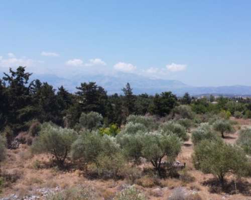 φωτογραφία ακινήτου