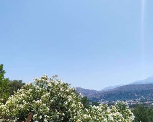 εικόνα ακινήτου