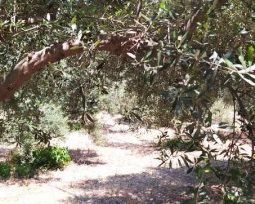φωτογραφία ακινήτου