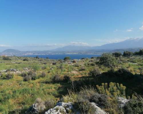 φωτογραφία ακινήτου