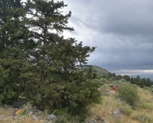 φωτογραφία ακινήτου