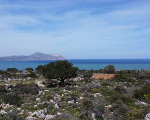 εικόνα ακινήτου