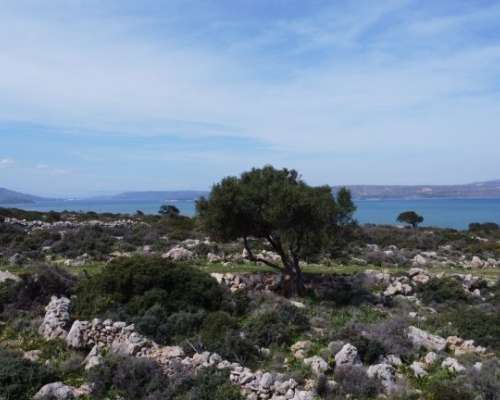 φωτογραφία ακινήτου