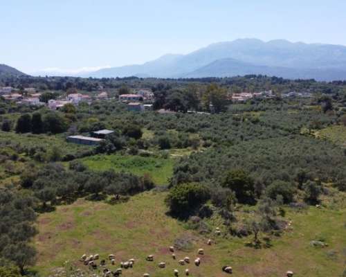 φωτογραφία ακινήτου