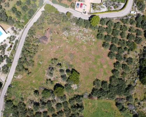 φωτογραφία ακινήτου