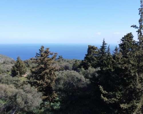 φωτογραφία ακινήτου