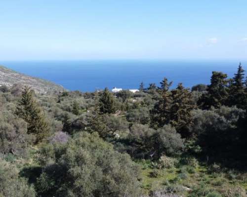φωτογραφία ακινήτου