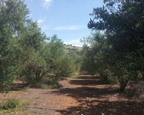 φωτογραφία ακινήτου