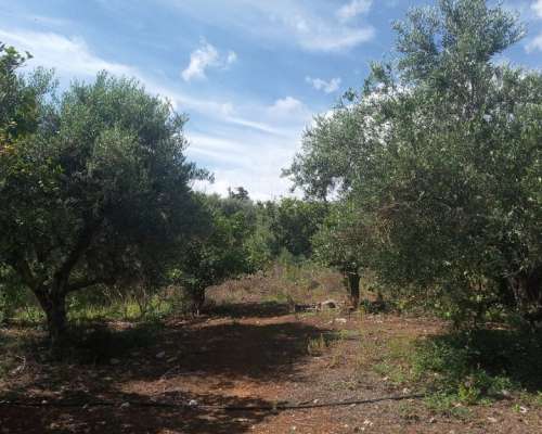 φωτογραφία ακινήτου