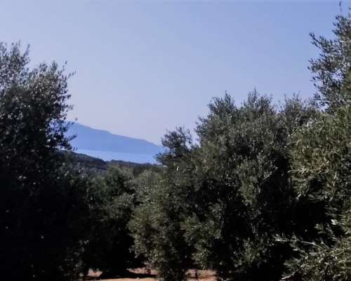 εικόνα ακινήτου